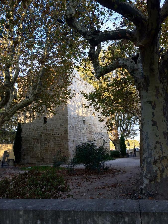 La Maison De Lara Villa Arles Exteriör bild